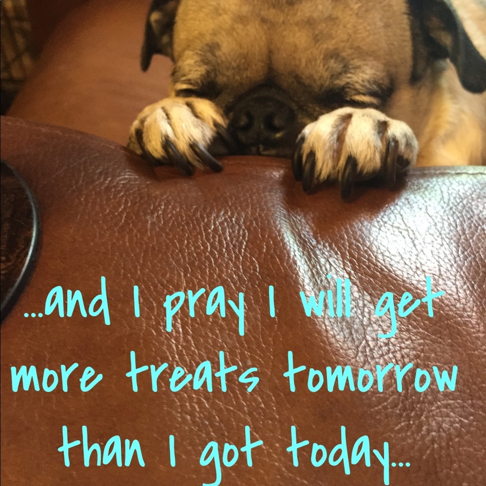 Meet your Posher, Tina